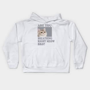 Are you Breathing Right Meow Bro? Kids Hoodie